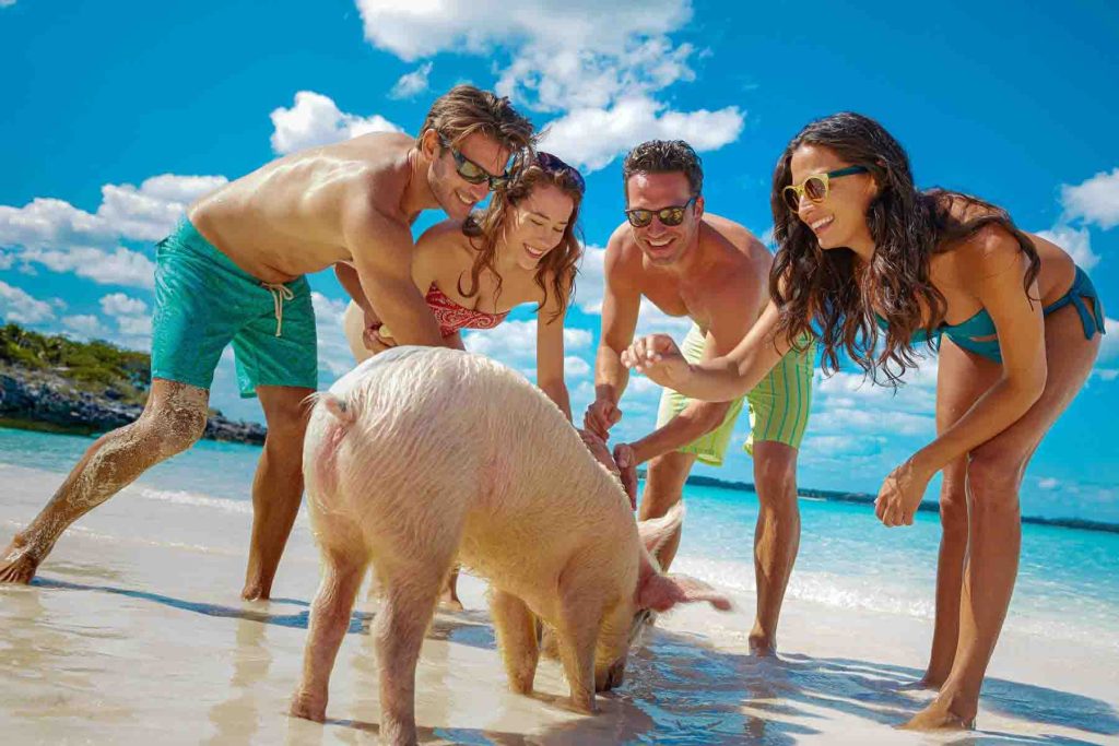 Bahamas nassau Pig Run Excursion (Routine Plane & Boat Combo Booking)