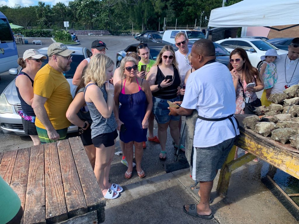 Bahamas Nassau Transport Tours Transfers Island private car book taxi suv sedan tour beach transportation 1