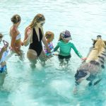 Family-Friendly Activities and Attractions in Nassau, the Bahamas
