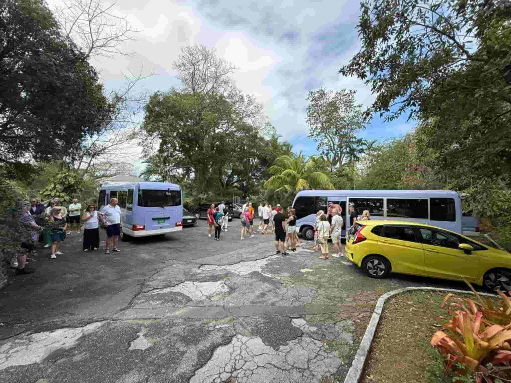 Explore Nassau in Comfort The Best Private City Tours for Families, Groups Cruise Visitors